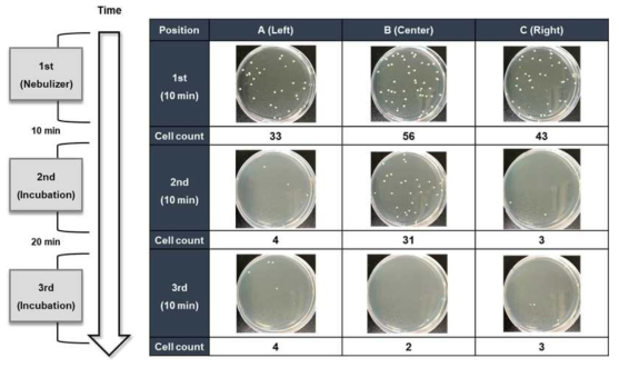 배양법을 활용한 Biosafety cabinet 에서의 유해 세균 검출 & 모니터링 결과 1