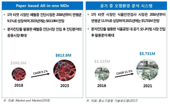 유망 아이템의 시장 전망