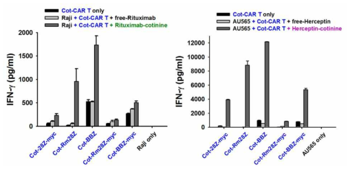 Comparison of CAR T backbones in anti-cotinine CAR T activation