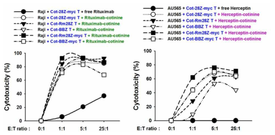 Comparison of CAR T backbones in in vitro cytotoxicity test