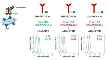 Binding of cotinine-labeled anti-mCD19 Ab to CD19+ A20 cells