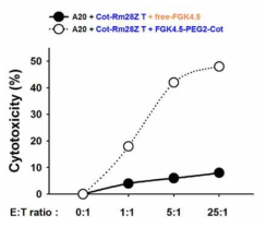 In vitro cytotoxicity test of anti-cotinine CAR T cell via cotinine-conjugated anti-mCD40 antibody