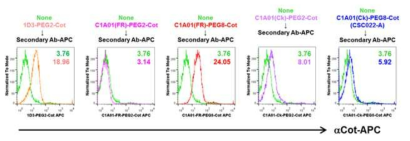 Binding of cotinine-labeled anti-mCD40 scFv-Ck Abs to A20 cell