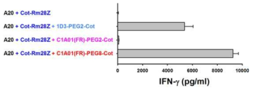 Comparison of anti-cotinine CAR T cell activation via cotinine-conjugated anti-mCD19 antibody versus anti-mCD40 scFv-Ck(C1A01) antibody