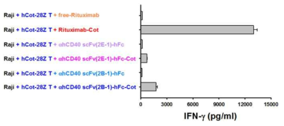 Comparison of anti-cotinine CAR T cell activation via cotinine-conjugated anti-hCD20(rituximab) and anti-hCD40 scFv-hFc(2E-1, 2B-1) antibodies