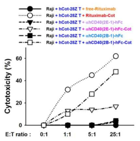 Comparison of in vitro cytotoxicity of anti-cotinine CAR T cell via cotinine-conjugated anti-hCD20(rituximab) and anti-hCD40 scFv-hFc(2E-1, 2B-1) antibodies