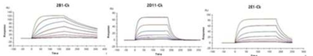 항hCD40 항체 3종(2B-1, 2D-11, 2E-1)에 대한 surface plasmon resonance(SPR) 분석