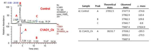 2종 샘플의 total ion chromatogram과 측정된 molecular weight