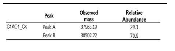 C1A01-Ck sample의 relative abundance