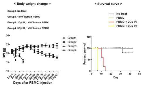 Development of xenogeneic GVHD by human PBMC transfer in NSG mice