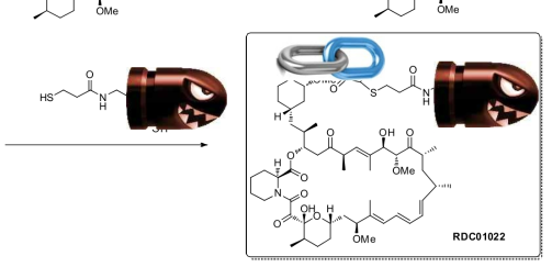 rapa 접합체 RDC01022 합성