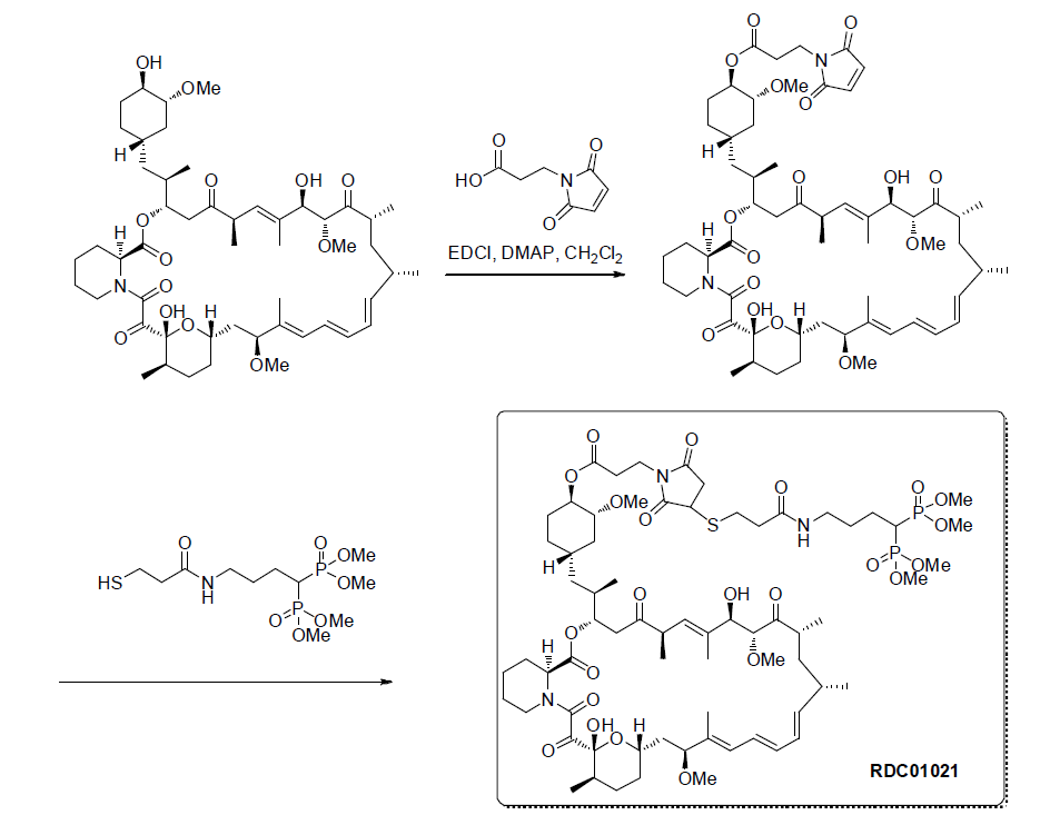 rapa 접합체 RDC01021 합성