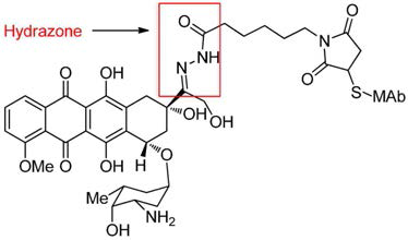 산분해성 링커로 연결된 Doxorubicin