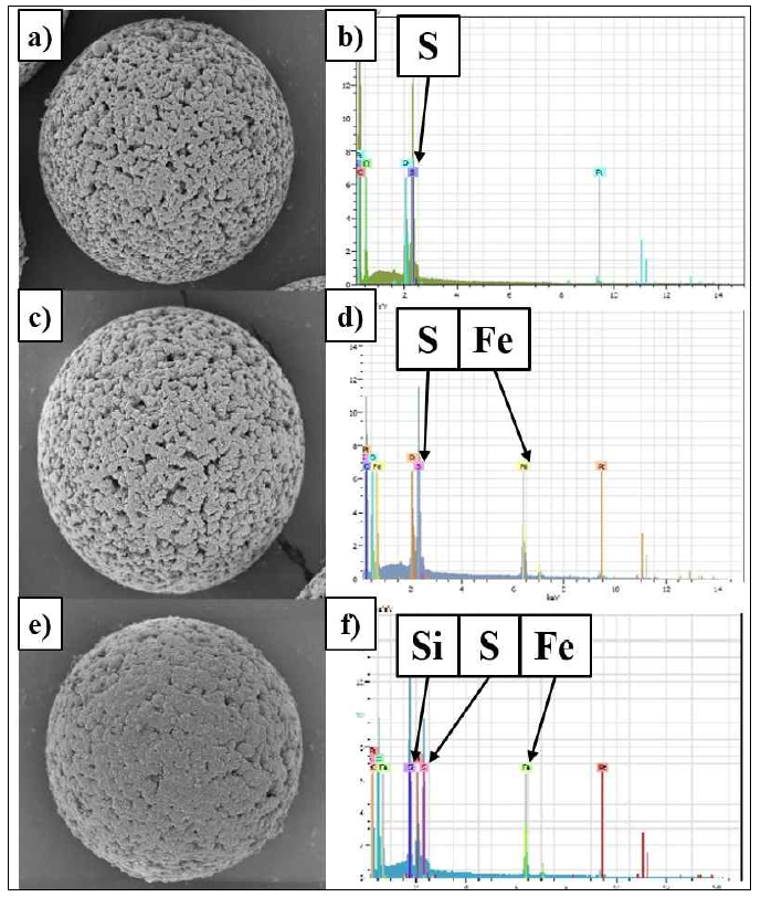 주사전자현미경과 성분 분석을 통한 자성구조체 제작 과정 단계별 확인