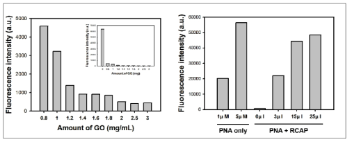 산화그래핀 자성구조체를 이용한 형광 PNA 분획과 S/B ratio 확인