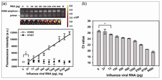 산화그래핀과 형광핵산을 이용한 인플루엔자 바이러스 검출의 민감도 및 비교