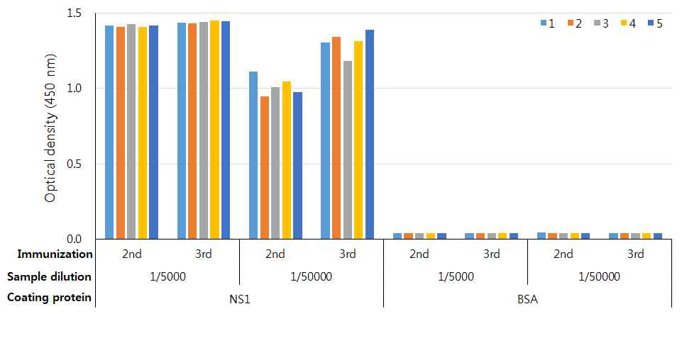 마우스 혈액 내 ZIKV NS1-specific polyclonal antibody 형성