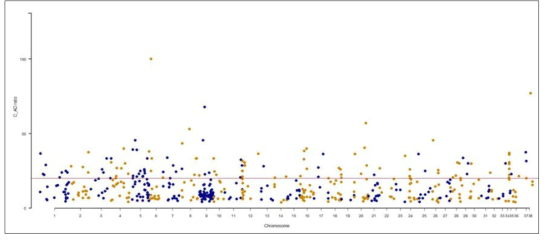 Chromosme 별 돌연변이의 AD ratio
