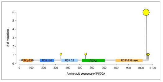 PIK3CA 도메인