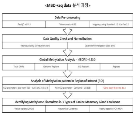 생물정보학을 이용한 MBD-seq data의 분석 및 검증과정