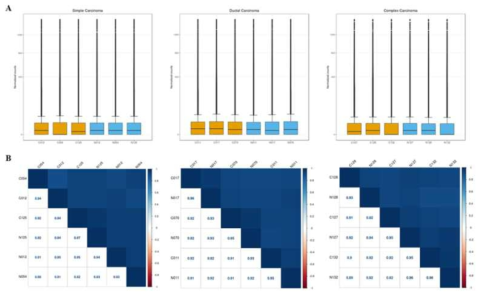 (A) 각 sample 별 counts의 분포를 box plot을 통해 확인 (노란색 : 정상군, 파란색 : 암 / 왼쪽부터 simple carcinoma, ductal carcinoma, complex carcinoma). (B) 전체 구간에서의 counts 값은 샘플 간 거의 유사한 것을 correlation 분석을 통해 확인