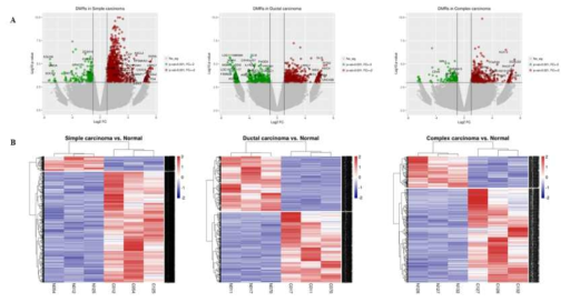 세 가지 암 종에서 통계분석을 통해 선별된 Differential methylated region을 나타내는 volcano plot (A) 과 각 샘플 별로 DMR에 대한 값을 이용해 clustering 하고 heatmap을 통해 나타낸 그림 (B)