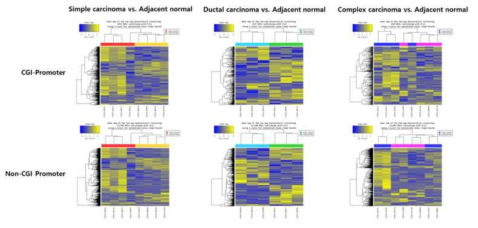 유전자 프로모터 부위에서 변화한 메틸레이션 부위에 의해 나뉘어지는 암종별 clustering 결과