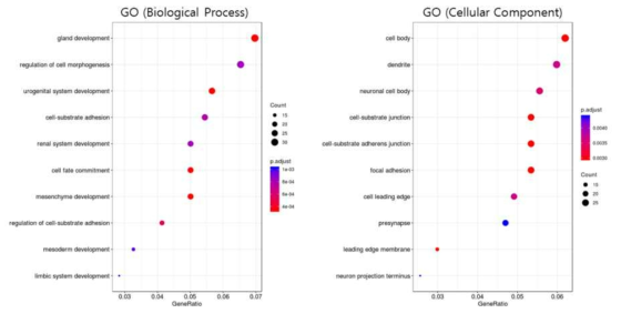 암 조직에서 메틸레이션의 변화가 있었던 유전자 군들의 gene ontology (GO) 분석 결과