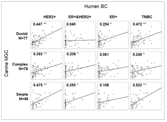 사람 유방암의 분자생물학적 서브타입과 개 유선암 조직학적 서브타입 간의 코릴레이션