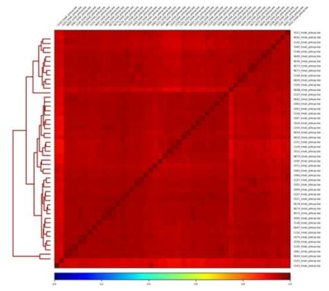 101개 샘플에서의 MBD-seq data를 normalization을 한 후 샘플 별 correlation 분석을 통해 실험의 재현성 확인