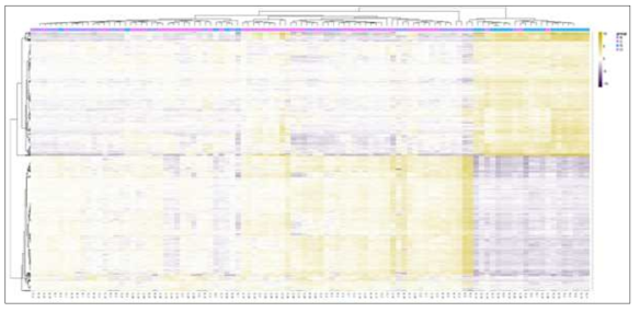 100 개 혈액시료의 heatmap clustering