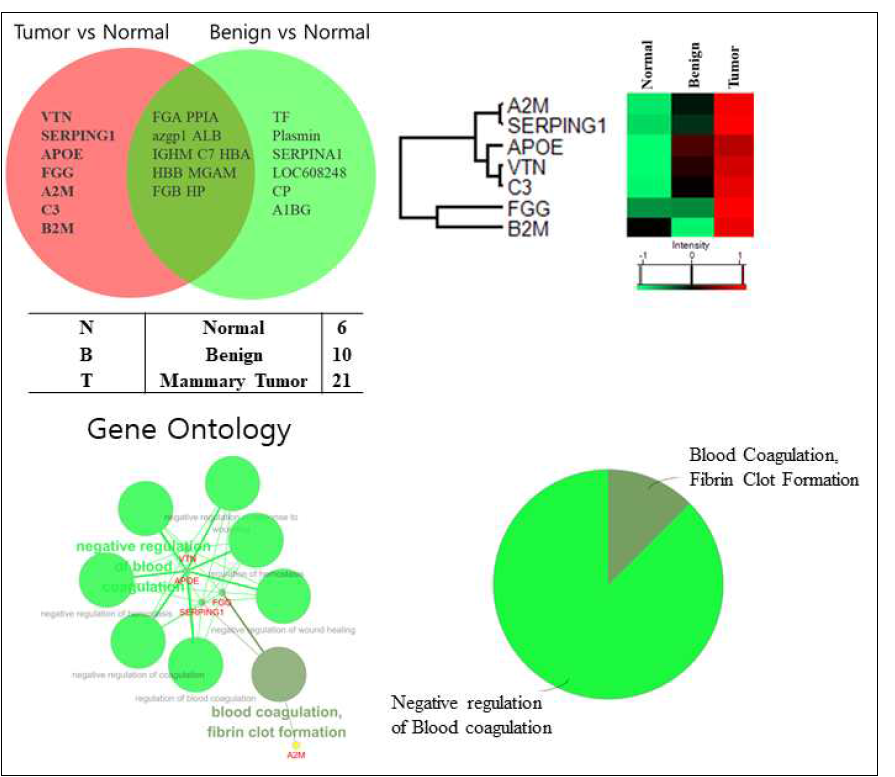 Tumor vs Normal, Benign vs Normal 비교분석