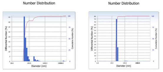 Size Distribution of Exosome (L: CHMp, R : CHMm)