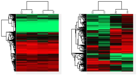 heatmap clustering in tissue