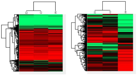 heatmap clustering in PBMC