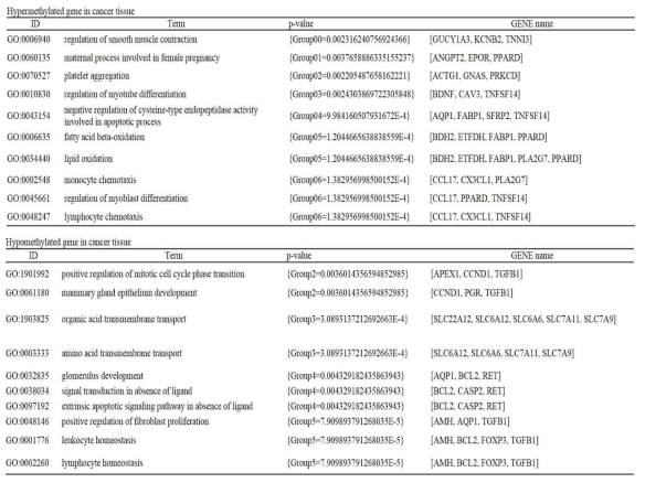 조직과 혈액에서 얻어진 DMG에 대한 Gene ontology 분석