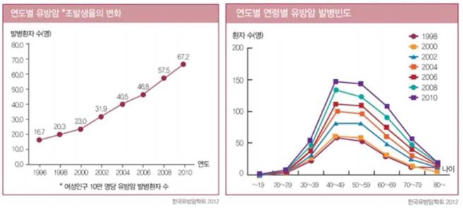 유방암 발병율 변화 추세 및 연도별, 연령별 유방암 발병율