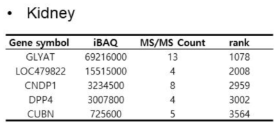 신장조직 특이적 단백질 리스트