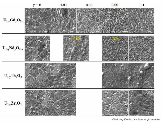 Comparing the domain structures on the surfaces of (U,Gd)O2, (U,Nd)O2, (U,Th)O2 and (U,Zr)O2 from top to bottom. Doping level increases from left to right. Magnification of all images is ×3000, and scale bars in images indicate 5 ㎛ length