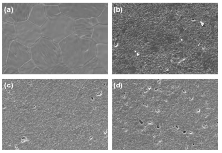 SEM images (×2,000) of (a) UO2, (b) U0.98Gd0.02O2, (c) U0.94Gd0.06O2, and (d) U0.90Gd0.06O2 pellets before polishing