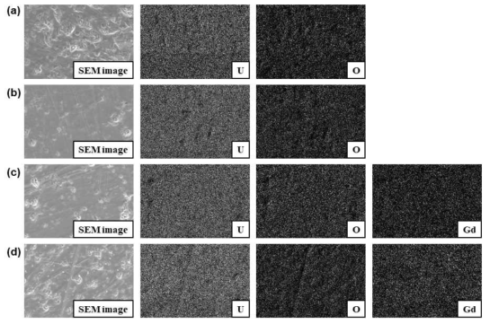 SEM images (×2,000) and EDS mapping data of uranium, oxygen, and gadolinium elements obtained from (a) UO2, (b) U0.98Gd0.02O2, (c) U0.94Gd0.06O2, and (d) U0.90Gd0.10O2 pellets after polishing