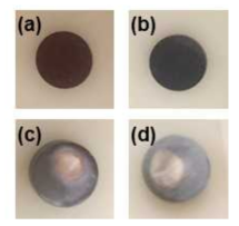 Optical images of samples after annealing of (a) UO2 with (c) Zr and (b) U0.90Gd0.10O2, with (d) Zr at 1200℃