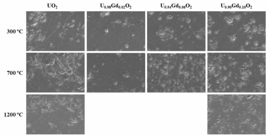 SEM images (×2,000) obtained from U1-yGdyO2 pellets after annealing of U1-yGdyO2/Zr samples at 300, 700, and 1200 ℃