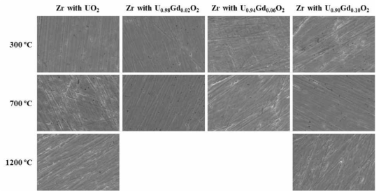 SEM images (×2,000) obtained from Zr samples after annealing of U1-yGdyO2/Zr samples at 300, 700, and 1200 ℃