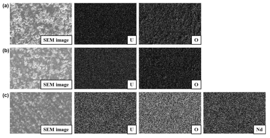 SEM images (×1,000) and EDS mapping data of uranium, oxygen, and neodymium elements obtained from (a) UO2, (b) U0.98Nd0.02O2, and (c) U0.94Nd0.06O2 pellets