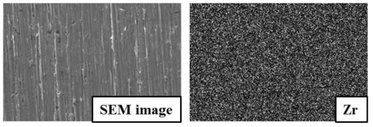 SEM image (×1,000) and EDS mapping data of zirconium element obtained from Zr sample