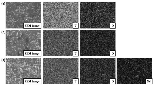 SEM images (×1,000) and EDS mapping data of uranium, oxygen, and neodymium elements obtained from (a) UO2, (b) U0.98Nd0.02O2, and (c) U0.94Nd0.06O2 pellets after annealing with Zr at 1200 ℃