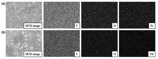 SEM images (×1,000) and EDS mapping data of uranium, oxygen, zirconium, and neodymium elements obtained from (a) U0.98Nd0.02O2, and (b) U0.94Nd0.06O2 pellets after annealing with Zr at 1450 ℃