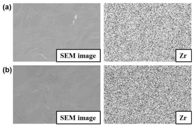 SEM images (×1,000) and EDS mapping data of zirconium element obtained from Zr samples after annealing with (a) U0.98Nd0.02O2 and (b) U0.94Nd0.06O2 pellets at 1450 ℃