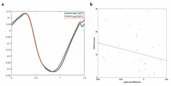 동기 부여 상황과 우울 증상에 따른 동공크기 변화 a. 동기 부여에 따른 동공 크기 변화, b. 우울 증상과 동공 크기 변화에 따른 상관관계